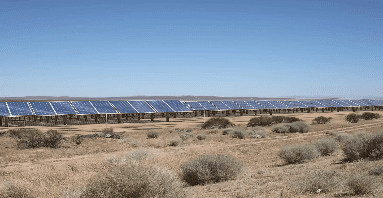 A field with many solar panels on it