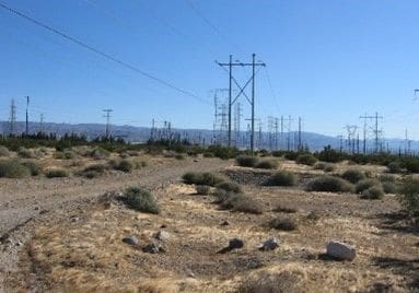 A field with power lines in the background.